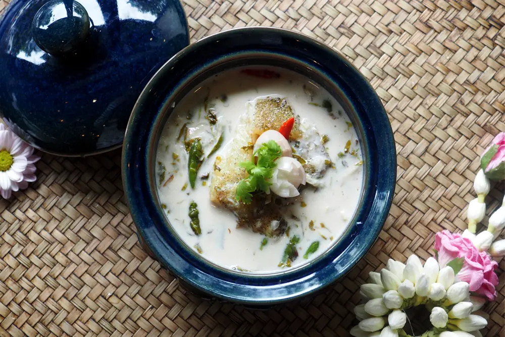 Coconut Soup with Damselod
